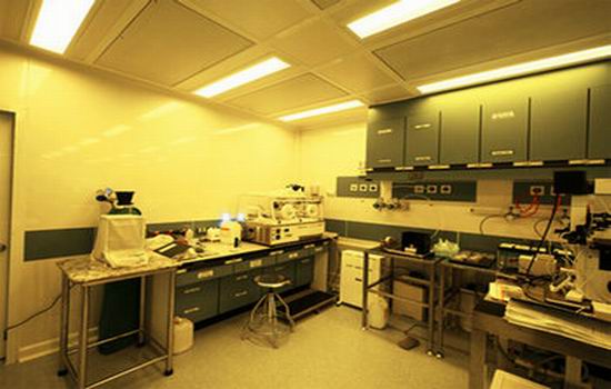 遗传学实验室